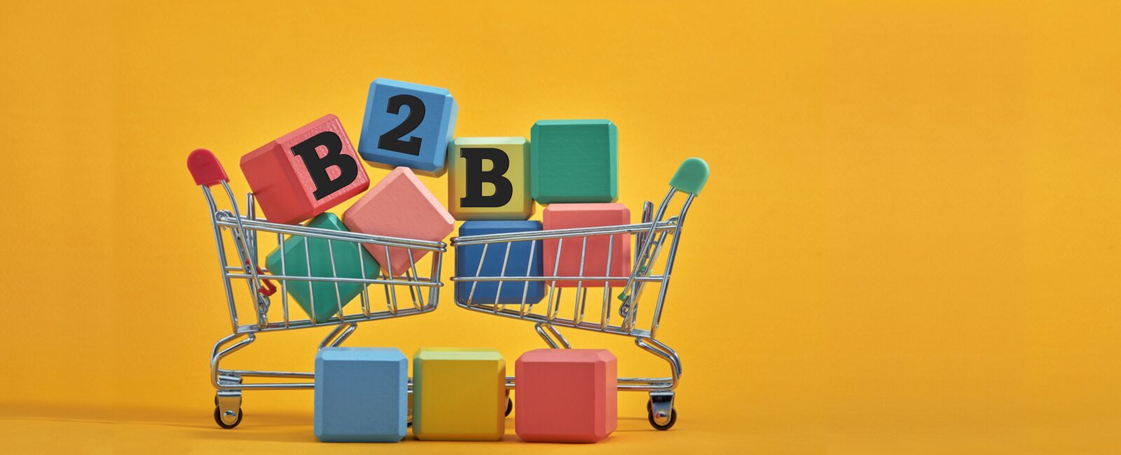 Scaling B2B Growth Across USA: Developed Automated Ecommerce Portal on Shopify 2.0